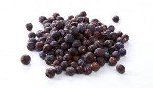 Link to Juniper @ Herbosophy