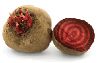 Click here to buy pure, dried Beetroot Capsules Now!