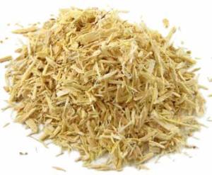 Buy Astragalus Extract @ Herbosophy