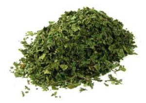 Buy Loose Cut Nettle Leaf or Capsules @ Herbosophy