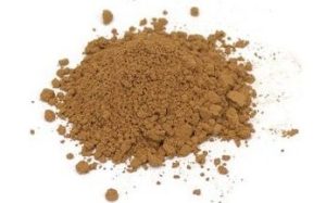 Buy Reishi Extract Powder & Capsules