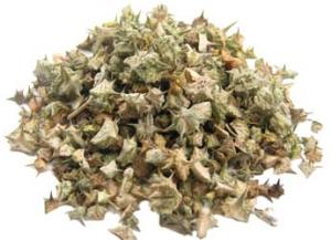 Buy Tribulus Extract capsules and powder